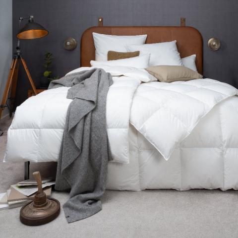 Daunendecke Emotion Daunendecke 5x7 Medium Ganzjahresbett Miniatur 2