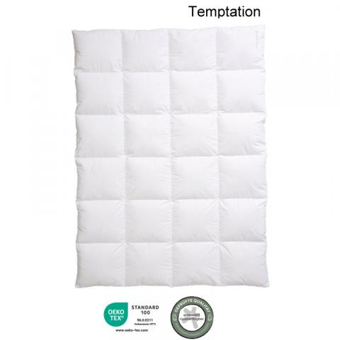 Daunendecke Temptation Kassettenbett 4x6 mit 4 cm Innen-und Außensteg Miniatur 1