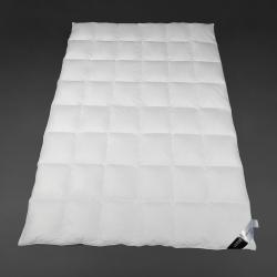Daunendecke Verse Collection Black - Ganzjahresbett leicht    Kammern je nach Größe 