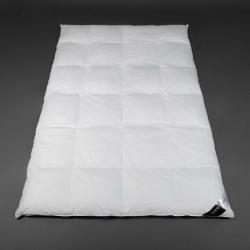 Daunendecke Verse Collection Black - Ganzjahresbett warm  Kammern je nach Größe 