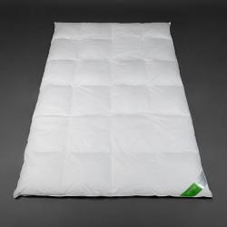 Daunendecke Collection Green - Winterbett extra warm Miniatur 1