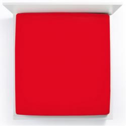 Spannbettlaken  Bella Donna Jersey Miniatur 1