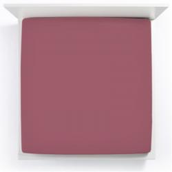 Spannbettlaken  Bella Donna Jersey Miniatur 1